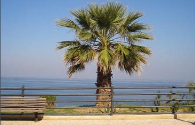 TRAPPETO il lungomare
di sabbia finissima