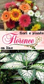       FLORENCE FIORI   
   FIORI E PIANTE ON LINE
SPEDIZIONE FIORI IN ITALIA