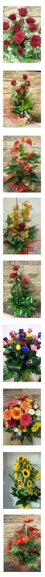 Ecco i fiori che possiamo spedire a TORINO